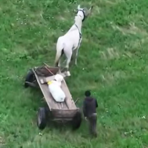 Fermierii din Botoșani folosesc drone pentru a-i prinde pe hoții de recolte