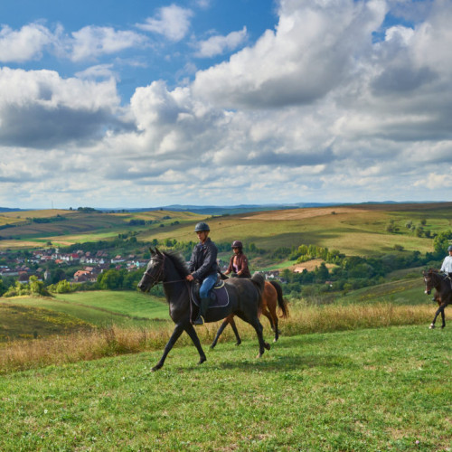 patru proiecte din transilvania, premiate pentru turism cultural durabil