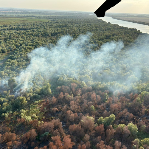 Pompieri și elicoptere Black Hawk acționează pentru stingerea incendiilor din Delta Dunării