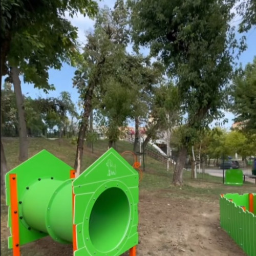 Primarul din Piatra Neamț anunță construirea primelor dog parkuri în oraș