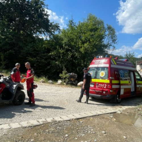 Terenul montan din județul Brașov, loc de incidente cu câini de stână