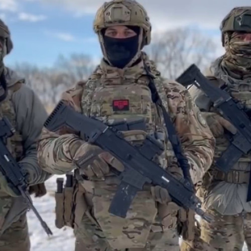 Unitatea specială Timur a efectuat un atac curajos în regiunea Sumi, chiar în zorii zilei, lansând o operațiune surpriză împotriva trupelor ruse. Potrivit serviciului ucrainean de informații militare GUR, această acțiune a dus la distrugerea mai multor centre de comandă și a eliminat un batalion rus, oprind ofensiva în nord-estul Ucrainei. În urma acestei misiuni, cel puțin 334 de soldați ruși au fost uciși, iar peste 550 răniți, relatează digi24.ro.