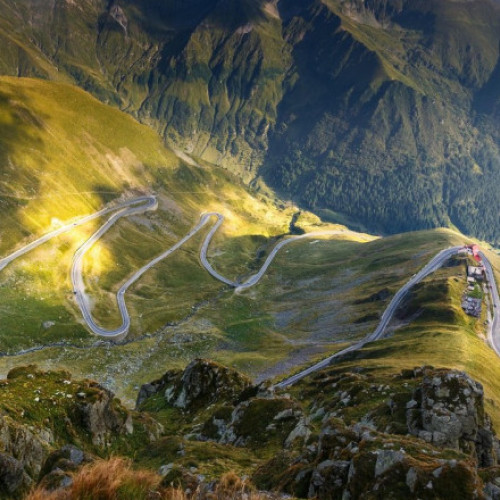 Pericolul câinilor de la stână pe traseele montane, avertisment pentru turiști