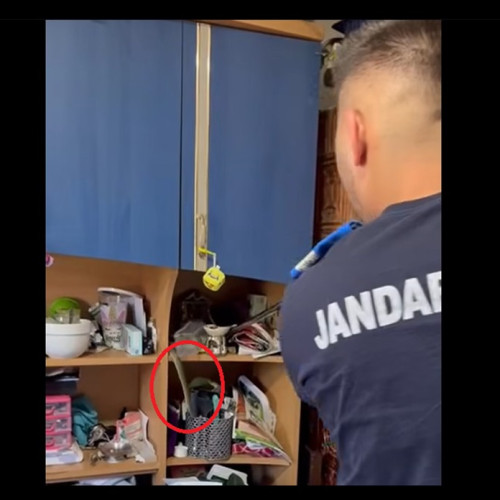 țipăreț cu un șarpe protejat capturat de jandarmi la Cumpana