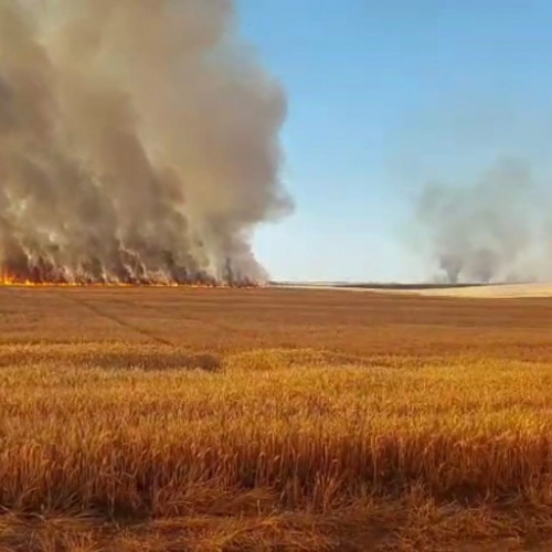 Un incendiu izbucnit în Cartierul Dimitrie Cantemir din Vadeni, Galați