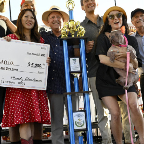 Petunia, un bulldog francez fără păr, câștigă concursul „cel mai urât câine din lume” în Santa Rosa