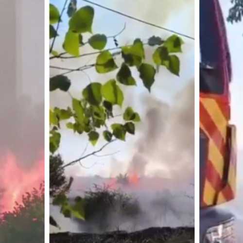 Incendiu de vegetație uscată în apropierea cartierului ANL din Galați