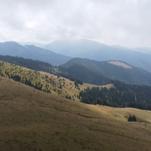 pasunile din muntii telciu, lăsate în paragină din cauza neglijenței autorităților