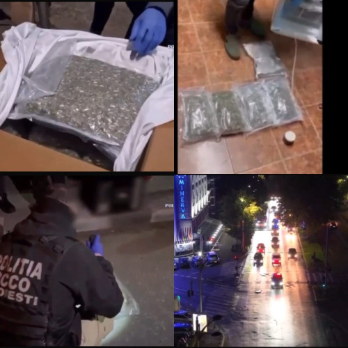 activități anti-drog în perioada ianuarie - iulie 2025: peste 530 de acțiuni și mii de kilograme de droguri confiscate