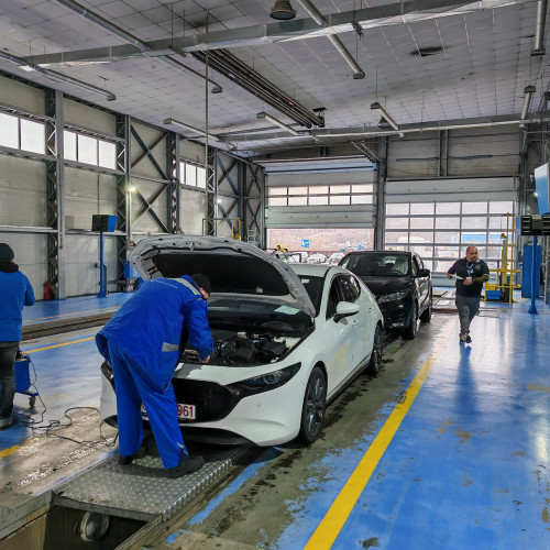 RAR oferă un instrument gratuit pentru verificarea rechemărilor auto