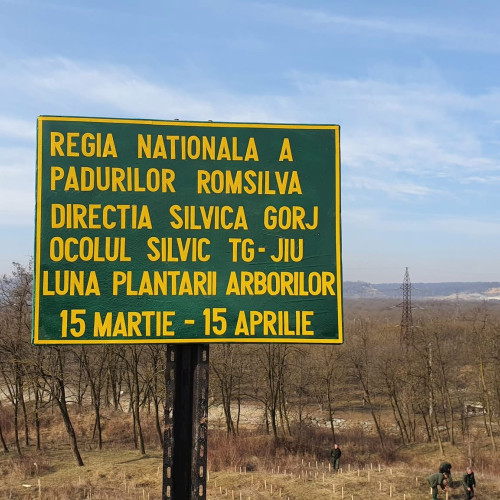 probleme în activitatea direcției silvice gorj, conform raportului corpului de control al ministerului mediului