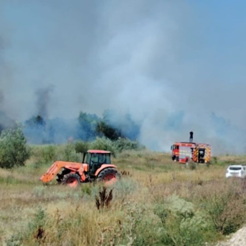 Incendiu de vegetație în satul Rădulești, județul Vrancea