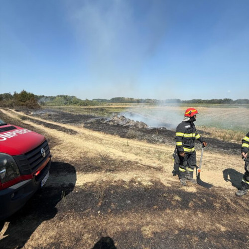Incendiu de vegetație în satul Rădulești, Vrancea