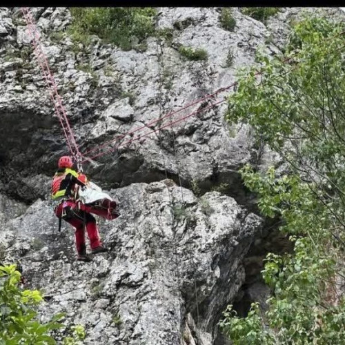 Tragedie în Munții Făgăraș: un turm a murit după un accident grav