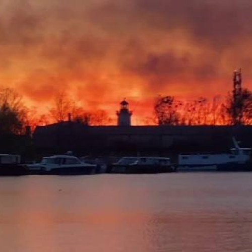 Incendiu de vegetație în Delta Dunării, autoritățile intervin pentru stingere