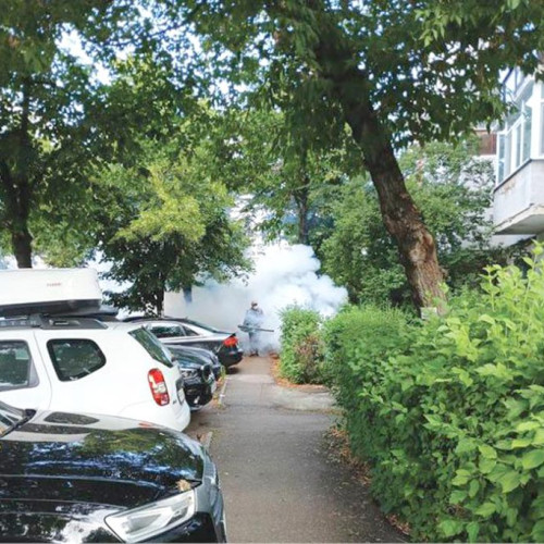 Descoperire arheologică importantă în județul Prahova