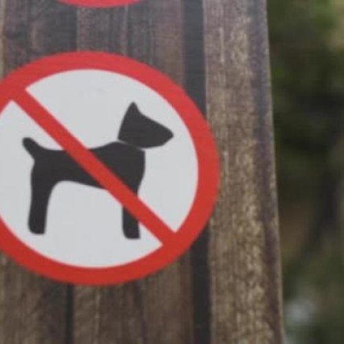 Spațiu verde din spatele blocului Rozelor Residence, sursă de nemulțumire pentru locatari