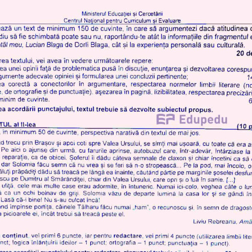 subiecte bacalaureat limba și literatura română: prima probă