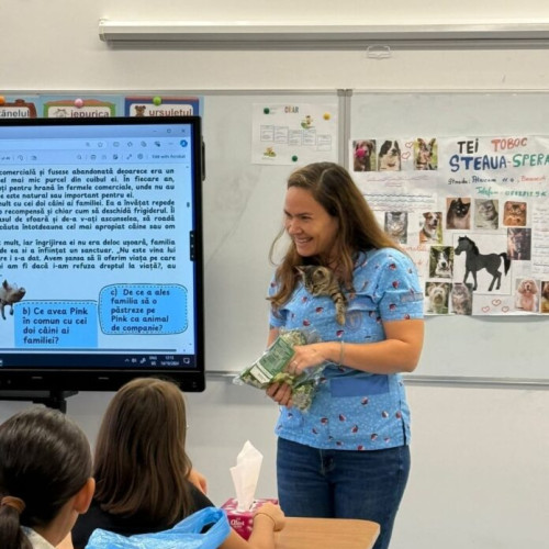 judetul ilfov, model de bune practici in protectia animalelor: elevii din estonia vor avea un curs inspirat de "ora cu si pentru animale"