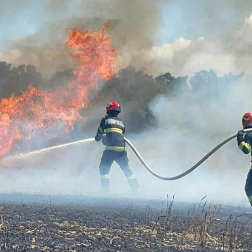 Incendiu în comuna Garliciu, județul Constanța