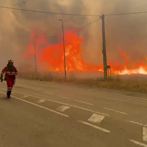 Val de căldură extremă în sudul Europei provoacă incendii devastatoare
