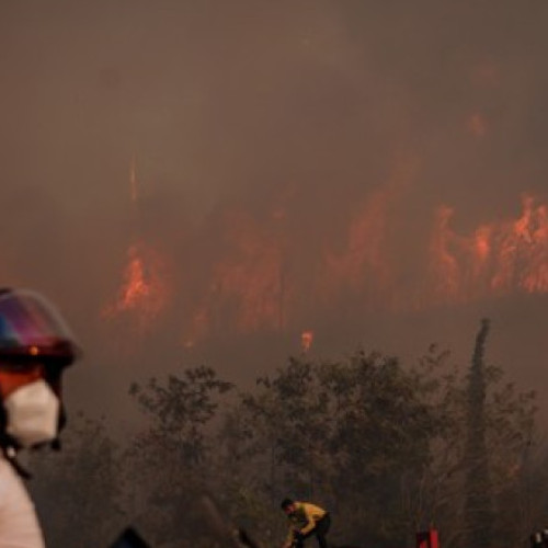 Incendii de vegetație în provincia Canakkale, Turcia