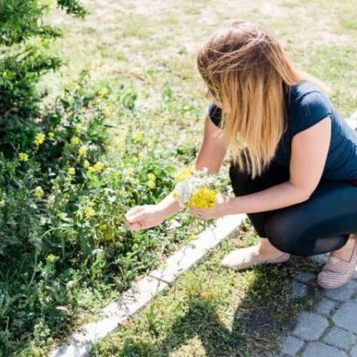 proiect pentru transformarea spațiilor verzi din Buzău în zone cu pomi fructiferi