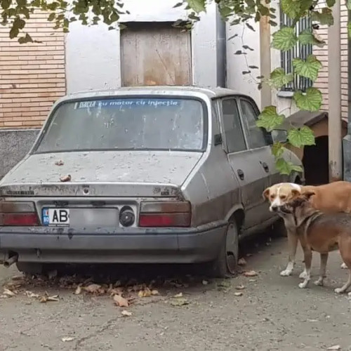 programul rabla 2025 pentru persoane fizice va fi lansat pe 1 septembrie