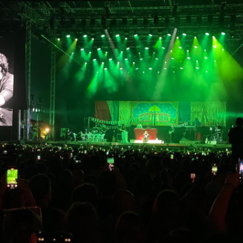 summer well 2025: un festival al culturii, muzicii și artei în Ilfov