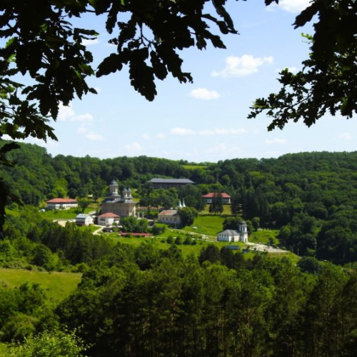organizarea primului pelerinaj al tinerilor de la Rohia la Nicula, cu ocazia Adormirii Maicii Domnului