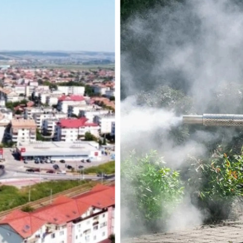 Prima trecere a dezinsectiei în Apahida începe în curând