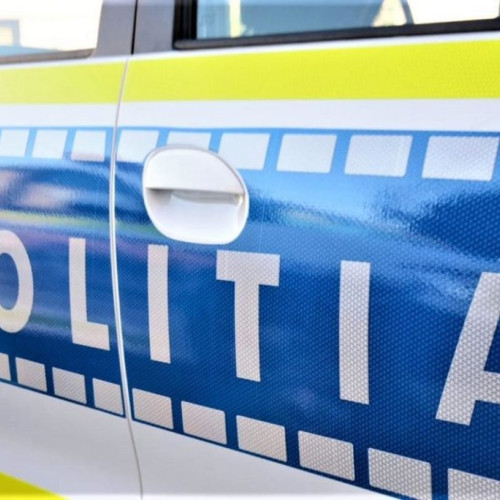 un șofer de camion din valcea a oferit mită pentru a evita sancțiunile