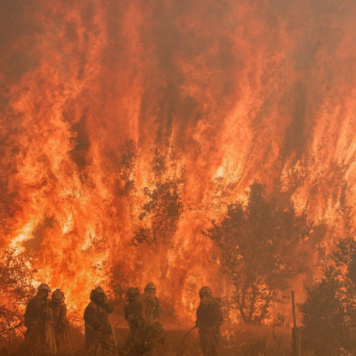 Un român a murit într-un incendiu de pădure în Spania, lângă Madrid