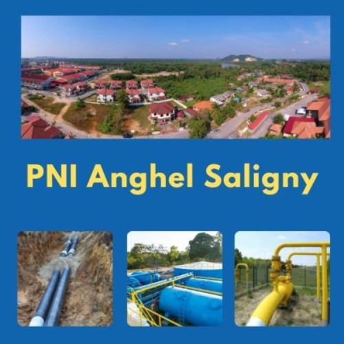 Guvernul caută soluții pentru finanțarea programului Anghel Saligny