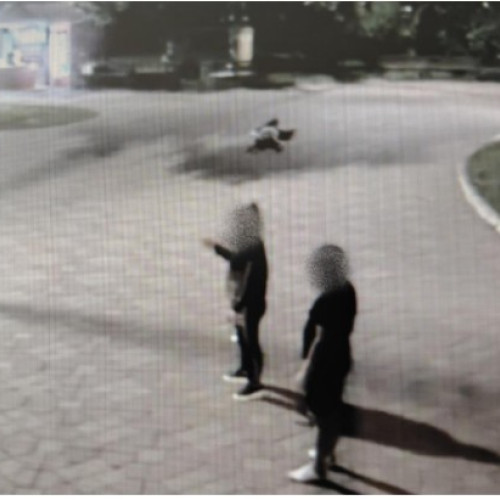 Bărbat din Botoșani, arestat și internat la psihiatrie după comportament violent în parc