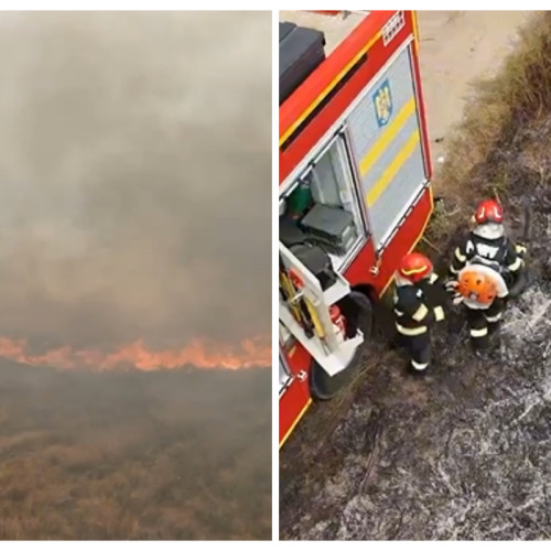 incident de incendiu de vegetație în apropiere de dej
