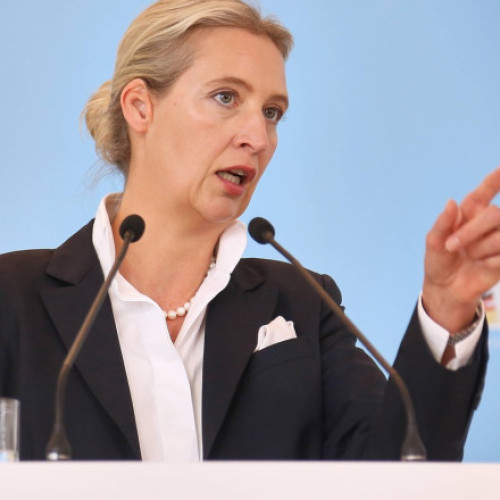 AfD devine cel mai popular partid din Germania, devansând blocul conservator al lui Friedrich Merz