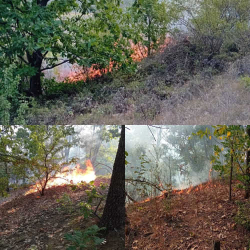 Incendii vaste în comuna Stejari, Gorj, afectând peste 45 de hectare de vegetație