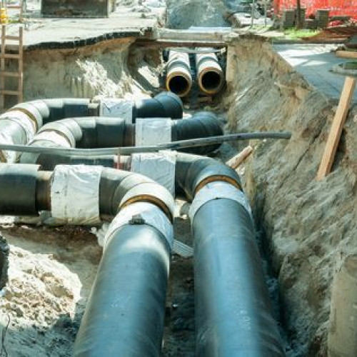 Proiectul de aducțiune a gazelor naturale în comuna Robeasca rămâne în suspensie, din cauza deciziei guvernului de a stopa temporar finanțarea prin Programul Național Anghel Saligny, până la sfârșitul anului. Aceasta afectează speranțele primăriței Domnica Vlad de a avea un serviciu public modernizat în comună, care să contribuie la îmbunătățirea nivelului de trai al localnicilor.