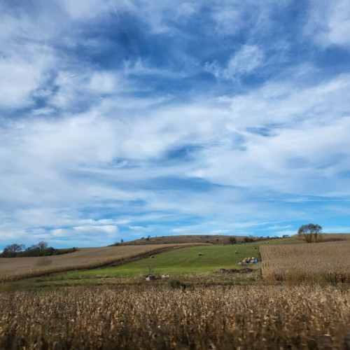 Numărul solicitărilor pentru subvenții agricole a crescut în 2024, dar nu și suprafețele, potrivit APIA Bistrița-Năsăud. În acest an, au fost depuse 27.822 de cereri pentru o suprafață totală de 183.043 de hectare, față de 26.937 de cereri pentru 178.078 hectare în 2023.
