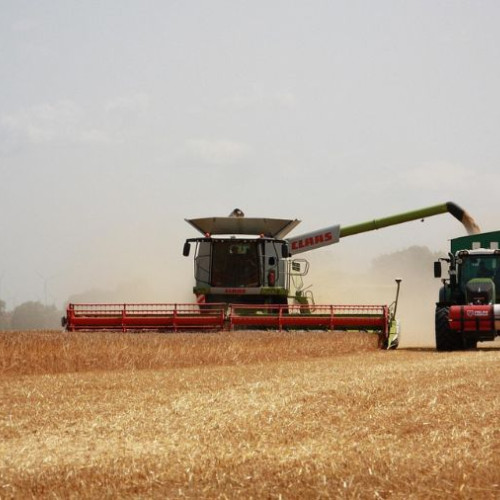 consiliul concurenței a efectuat noi inspectii în cadrul unei anchete despre posibile înțelegeri pe piața semintelor și produselor pentru protecția culturilor