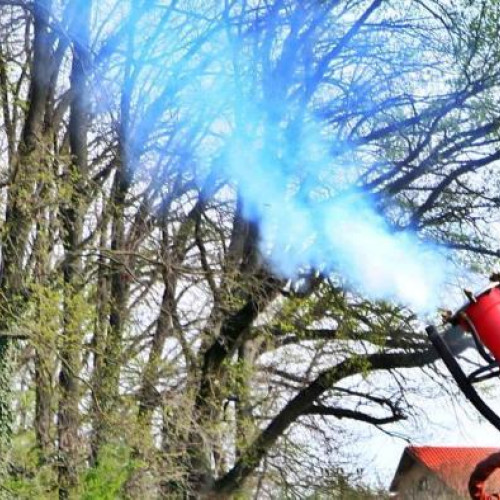 Lipsa de dezinsecție în cartierul someseni, Cluj-Napoca, atrage nemulțumirea locuitorilor