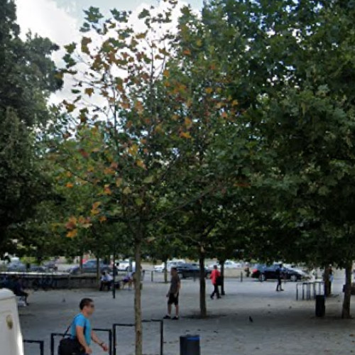 conflict între locatarii vechi și noii chiriași în Cluj-Napoca privind parcarea în curtea blocului