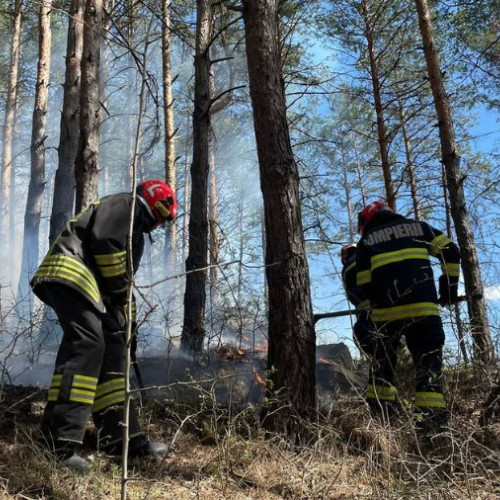 Pompierii din Bacau au intervenit de 74 de ori în perioada 11-12 august 2025