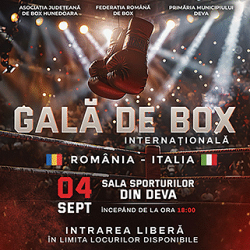 Spectacol de box la Deva pe 4 septembrie
