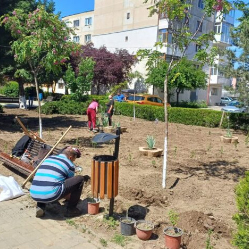 Serviciul de probatiune Buzău, implicare în reintegrarea socială a persoanelor supravegheate