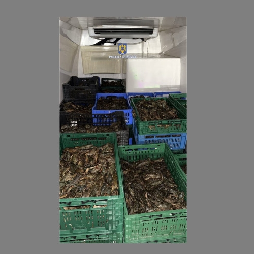 Doi bărbați prinși cu peste 600 de kilograme de raci și creveți fără acte în județul Tulcea