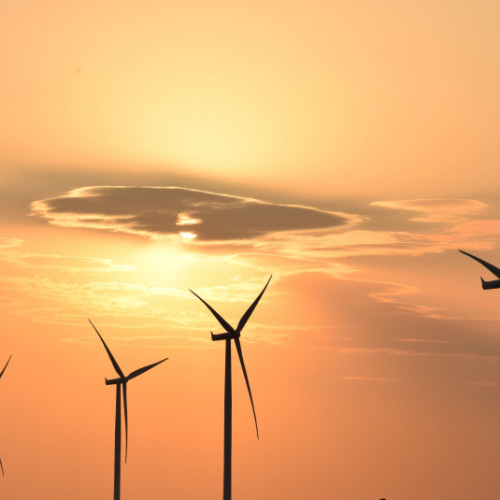 Ahold Delhaize achiziționează energie verde din parcul eolian din Galați