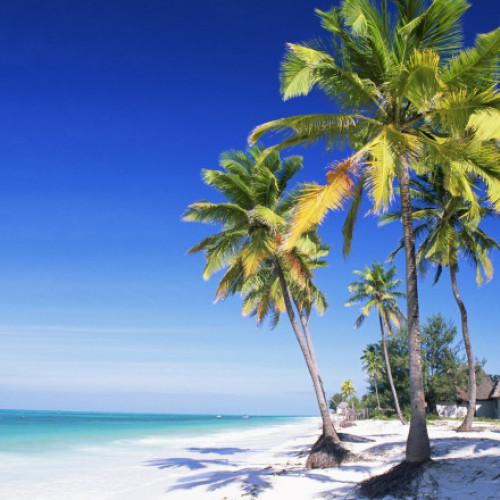 Peste 30 de persoane înșelate cu peste 73.000 de euro în cazul unei vacanțe în Zanzibar