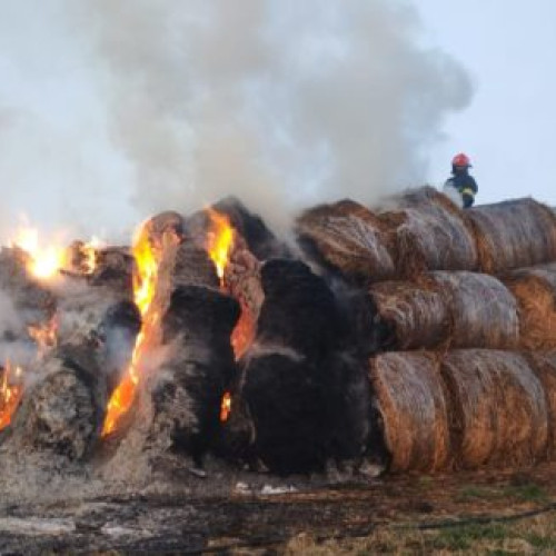Incendiu suspect la o stână din Mitoc